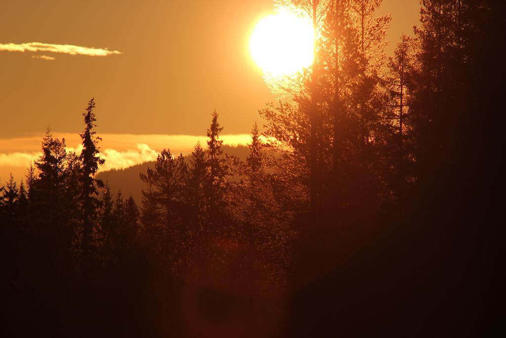 Trysilfjellet Leilighetshotell Номер фото
